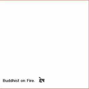 Buddhist On Fire - द्वेष