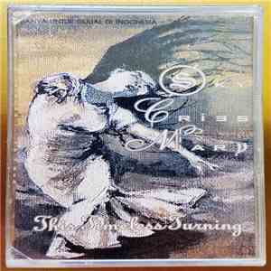 Sky Cries Mary - This Timeless Turning