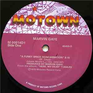 Marvin Gaye - A Funky Space Reincarnation