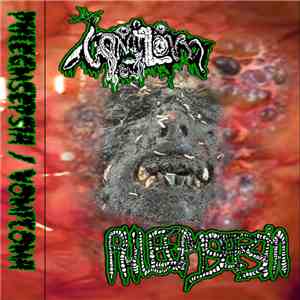 Phlegmsepsia / Vomitoma - Phlegmsepsia / Vomitoma