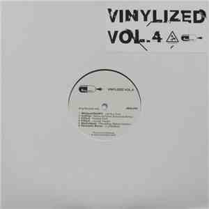 Various - Vinylized Vol.4
