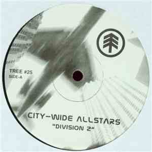 City-Wide Allstars - Division 2