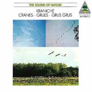 Walter Tilgner - Kraniche • Cranes • Grues • Grus Grus