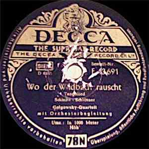 Golgowsky-Quartett - Wo Der Wildbach Rauscht / In 1000 Meter Höh'