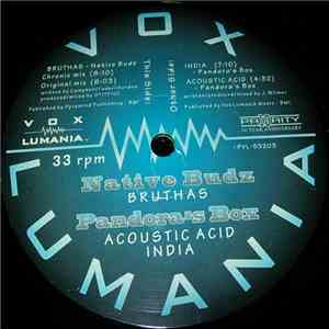 Native Budz / Pandora's Box - Bruthas / India / Acoustic Acid