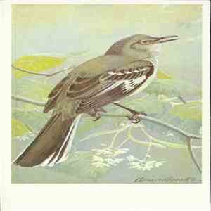No Artist - Mockingbird