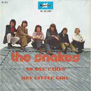 The Snakes  - No One Cares