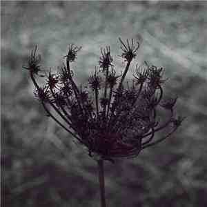 Andrea Cossu - Spira