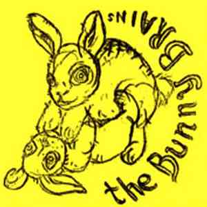 The Bunny Brains / Designer  - Swiss Cheese / American Cheese