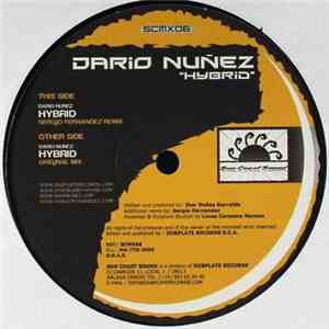 Dario Núñez - Hybrid