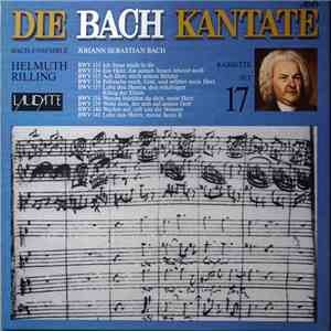 Johann Sebastian Bach, Gächinger Kantorei Stuttgart, Bach-Collegium Stuttgart, Helmuth Rilling - Die Bach Kantate BWV 151 - 161