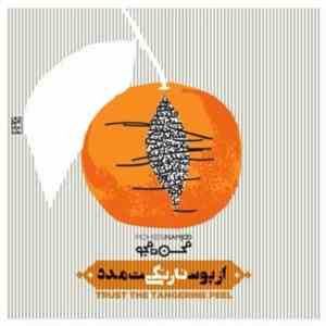 Mohsen Namjoo - Trust The Tangerine Peel