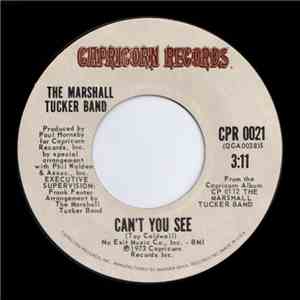The Marshall Tucker Band - Can't You See / See You Later I'm Gone