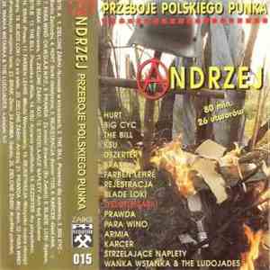 Various - Andrzej Przeboje Polskiego Punka