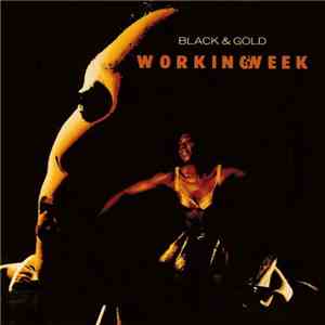 Working Week - Black & Gold