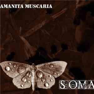 Amanita Muscaria - Soma