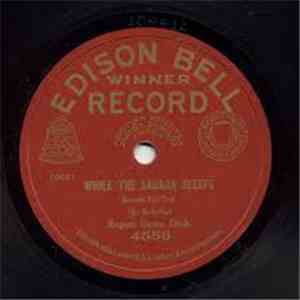 Regent Dance Orchestra - I've Never Seen A Straight Banana / While The Saha ...