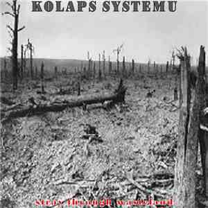 Kolaps Systému - Stray Through Wasteland