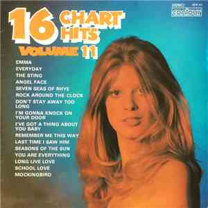 Unknown Artist - 16 Chart Hits Volume 11