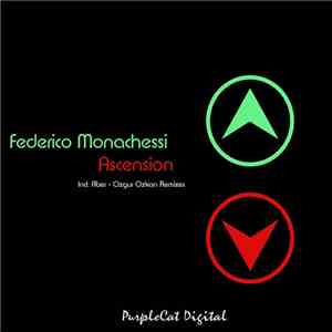 Federico Monachesi - Ascension