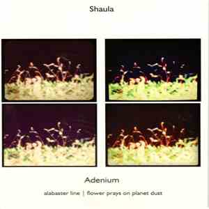 Shaula - Adenium