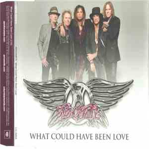 Aerosmith - What Could Have Been Love