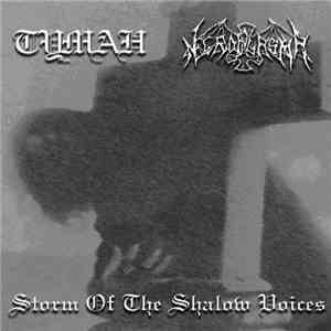 Туман / Necroplasma - Storm Of The Shallow Voices