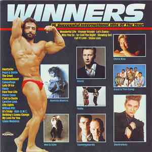 Various - WINNERS - 16 Successful International Hits Of The Year