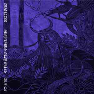 Etiolated - Grey Limbs, Grey Skies
