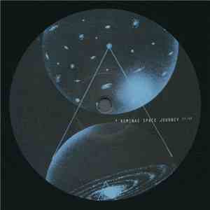 The Analog Roland Orchestra - Made In Space