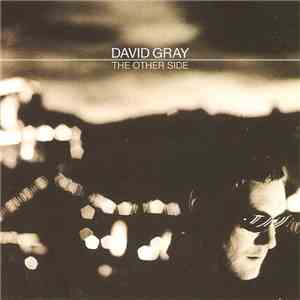 David Gray - The Other Side