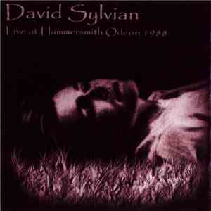 David Sylvian - Live At Hammersmith Odeon 1988
