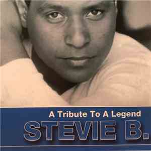 Stevie B - A Tribute To A Legend