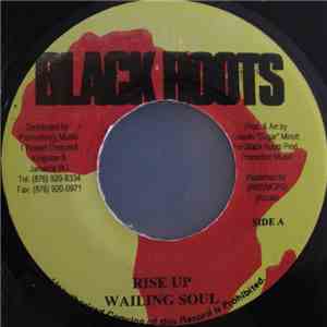 Wailing Soul - Rise Up