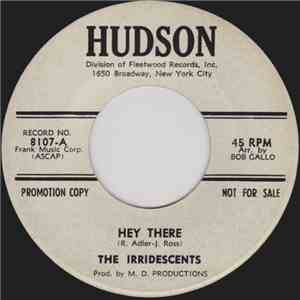 The Irridescents  - Hey There / I Found You