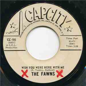The Fawns - Wish You Were Here With Me / Nothing But Love Can Save Me