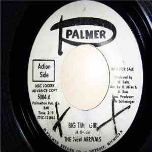 The New Arrivals  - Big Time Girl