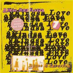 Blues Explosion - 2Kindsa Love