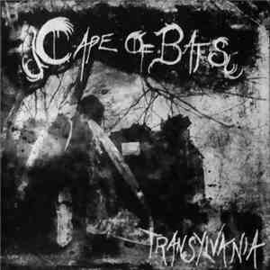 Cape Of Bats - Transylvania