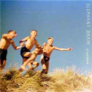 Elephant Brain - Ci Ucciderà