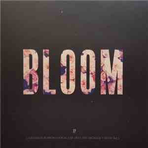 Lewis Capaldi - Bloom