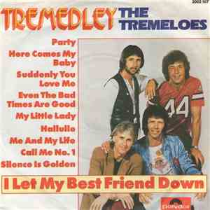 The Tremeloes - Tremedley