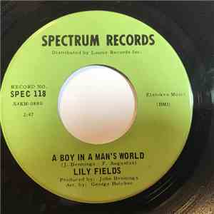 Lily Fields / Lily Fields and Hoagy Lands - A Boy In A Man's World