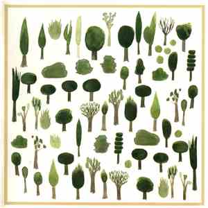Yuichiro Fujimoto - Kinoe