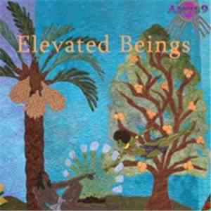 AMUL9 - Elevated Beings