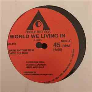 Mark Antoine Reid, David Culture - World We Living In