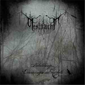 PestNacht - Nebelklänge...Erinnerungen Des Zerfalls