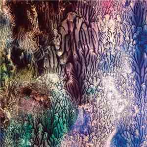 The Womb - The Womb