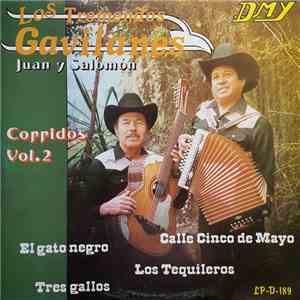 Los Tremendos Gavilanes Juan y Salomón - Corridos Vol. 2