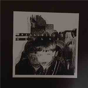 Swallowing Bile - Secluded